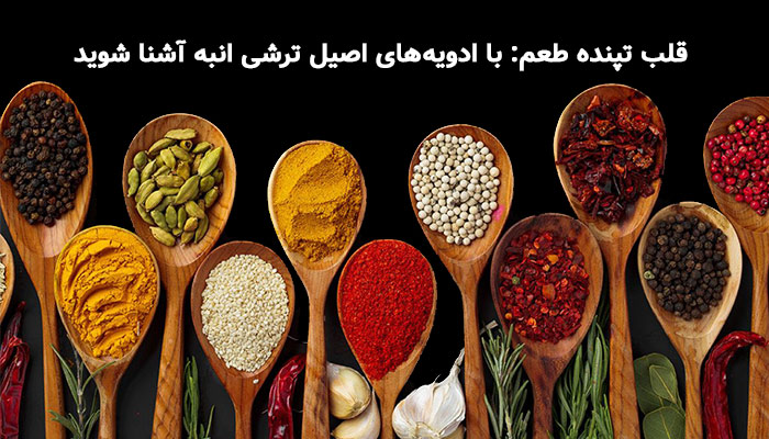 قلب تپنده طعم: با ادویههای اصیل ترشی انبه آشنا شوید 1 ترکیب ادویه ها