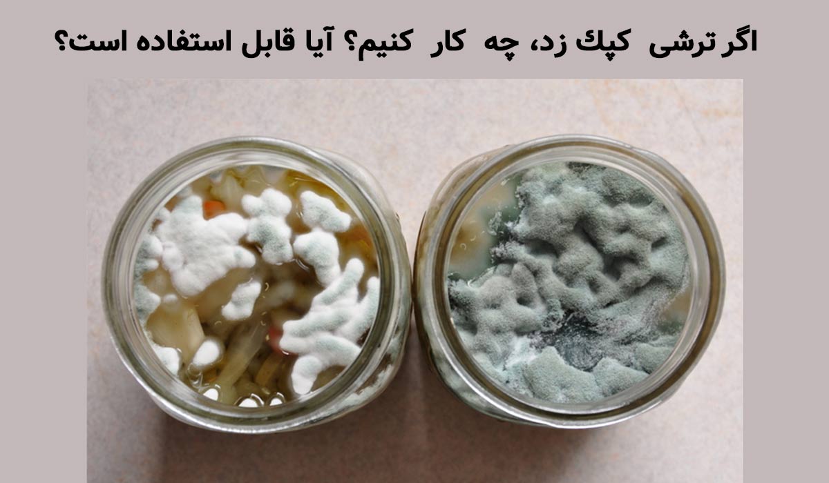  اگر ترشی کپک زد، چه کار کنیم؟ آیا قابل استفاده است؟