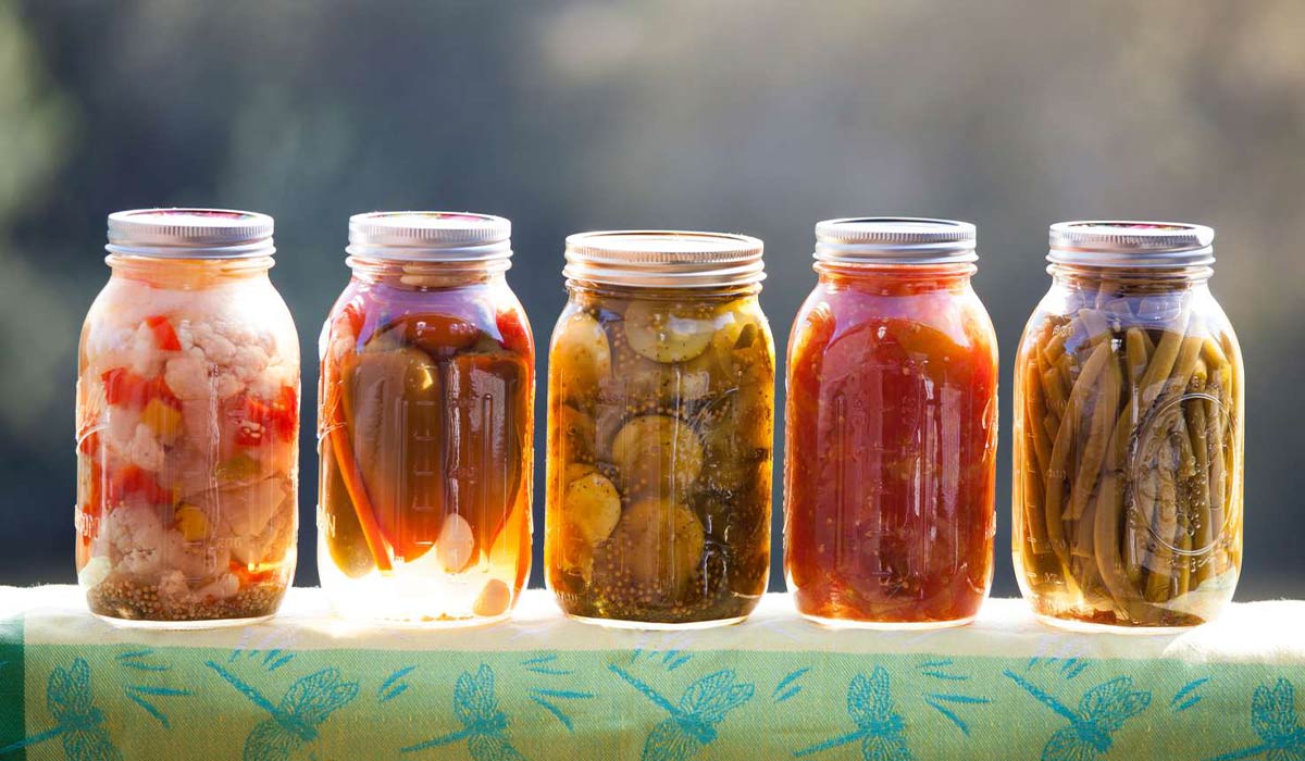 روغنی که ترشی شما را جادویی میکند!طرز تهیه روغن ترشی انبه 49 طرز تهیه روغن ترشی انبه