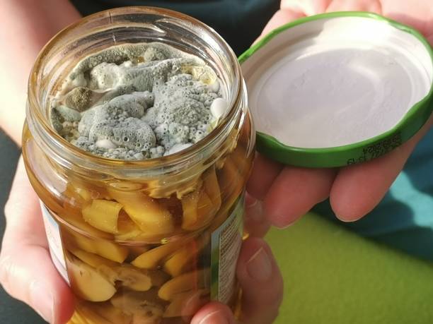  ۷ ترفند طلایی برای جلوگیری قطعی از کپک