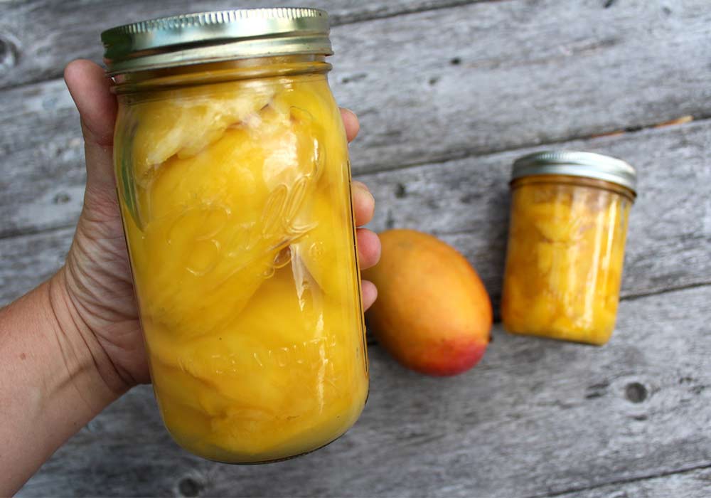 ترشی انبه مخصوص کدام شهر است