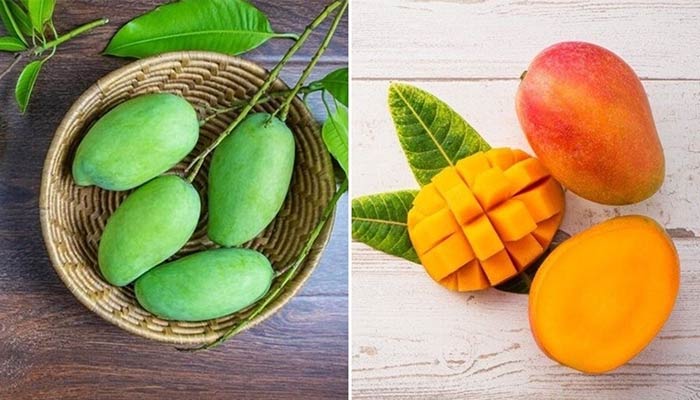 انبه سبز بخریم یا زرد؟ راهنمای تشخیص و انتخاب بهترین فرق انبه سبز و زرد