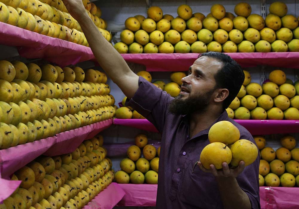 انبه هندی یا پاکستانی