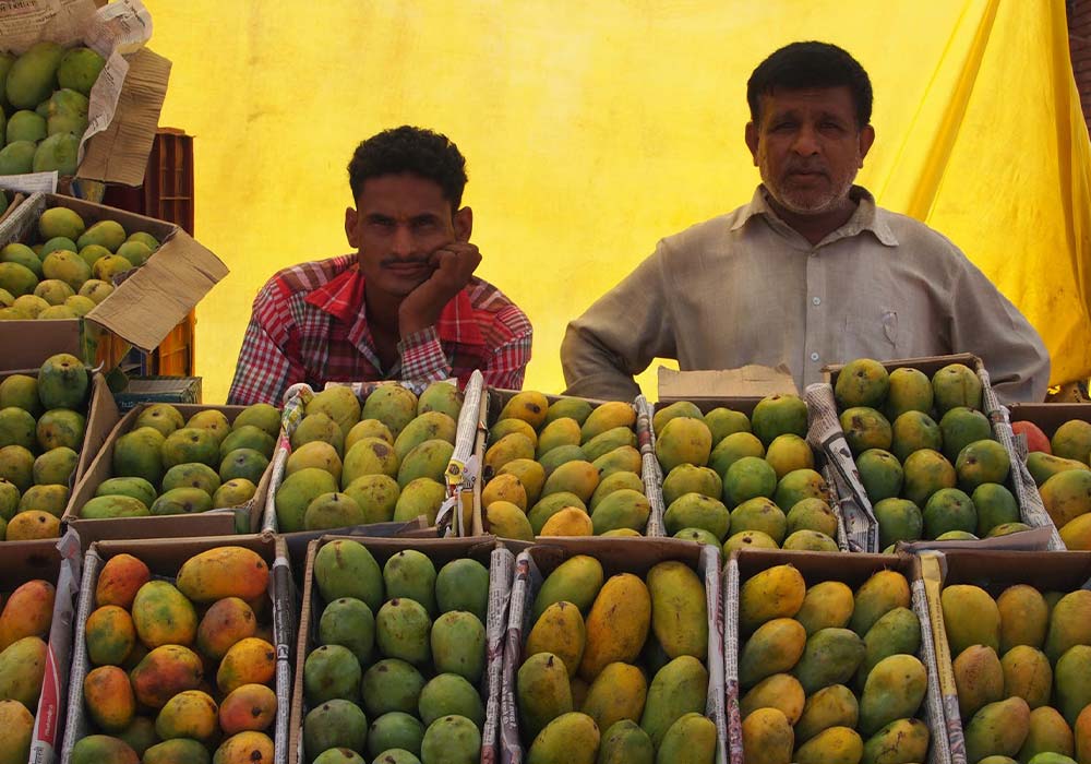 انبه هندی یا پاکستانی