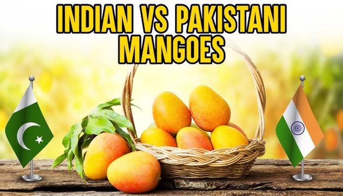 انبه هندی یا پاکستانی