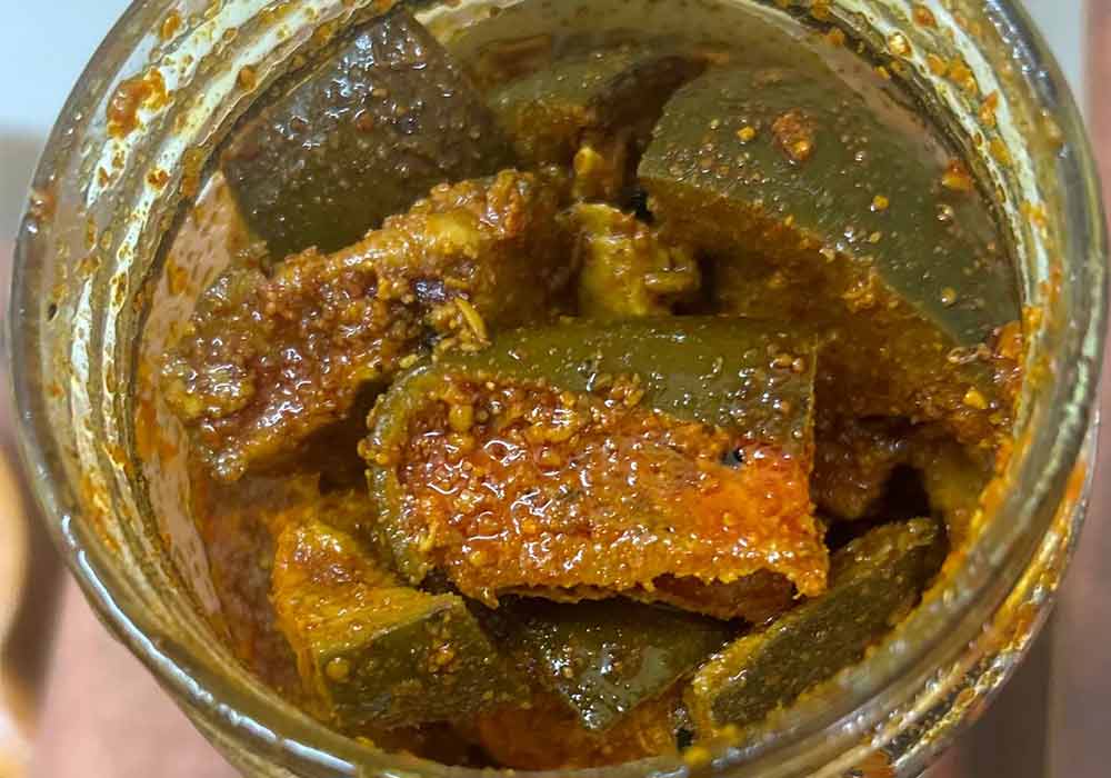 تخمیر ترشی انبه