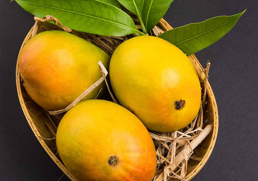 انبه محلی برای ترشی